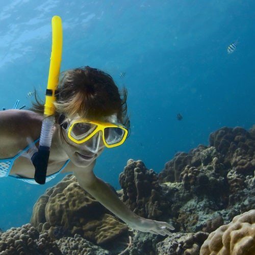 Honolua Sailing Tickets | Discount on snorkeling at Honolua, Maui