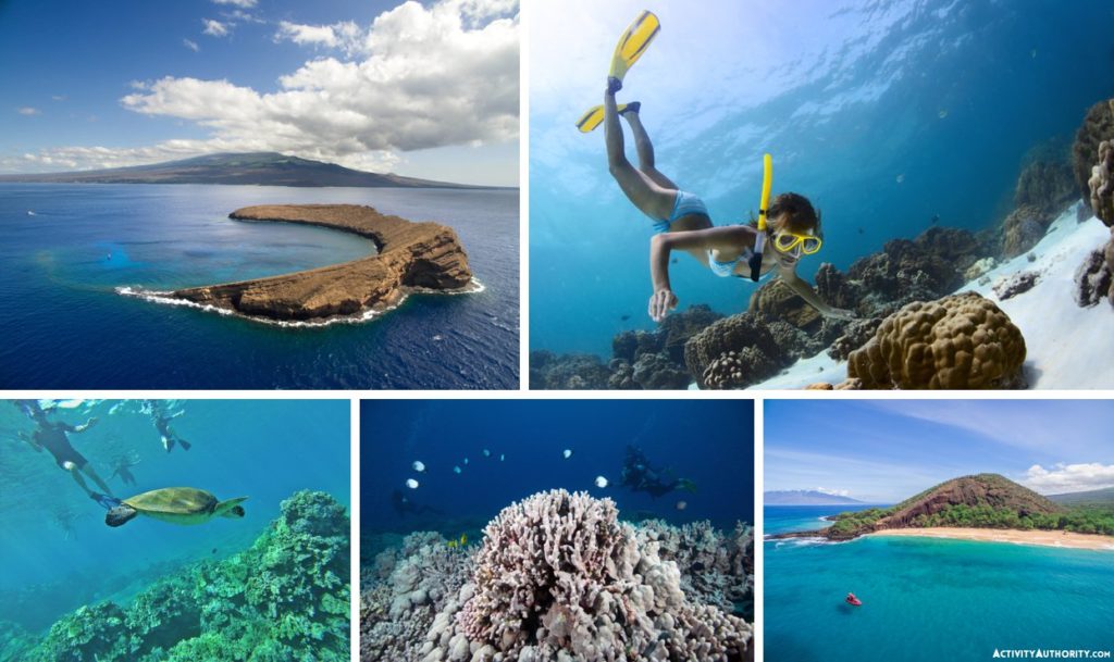 Maui Snorkeling Trips Molokini Crater and Turtle Town Tours