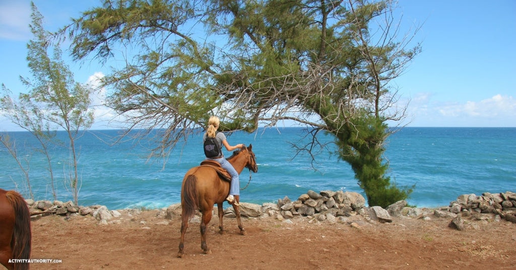 maui ocean horses