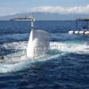 submarine Maui Hawaii