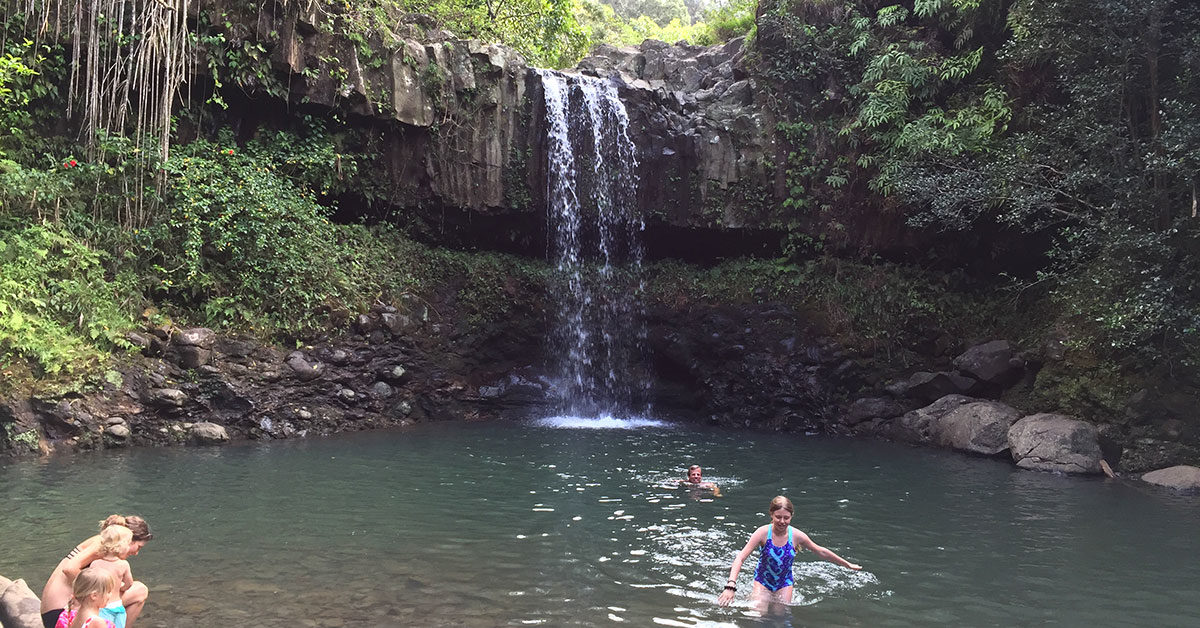 Maui Waterfall And Rainforest Hike