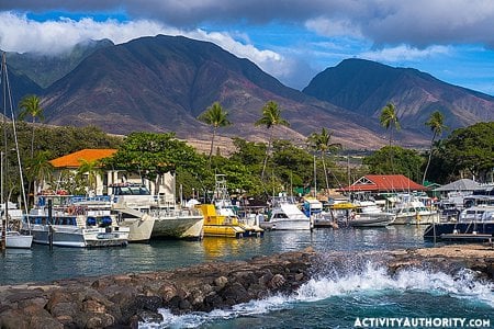 Lahaina Boats