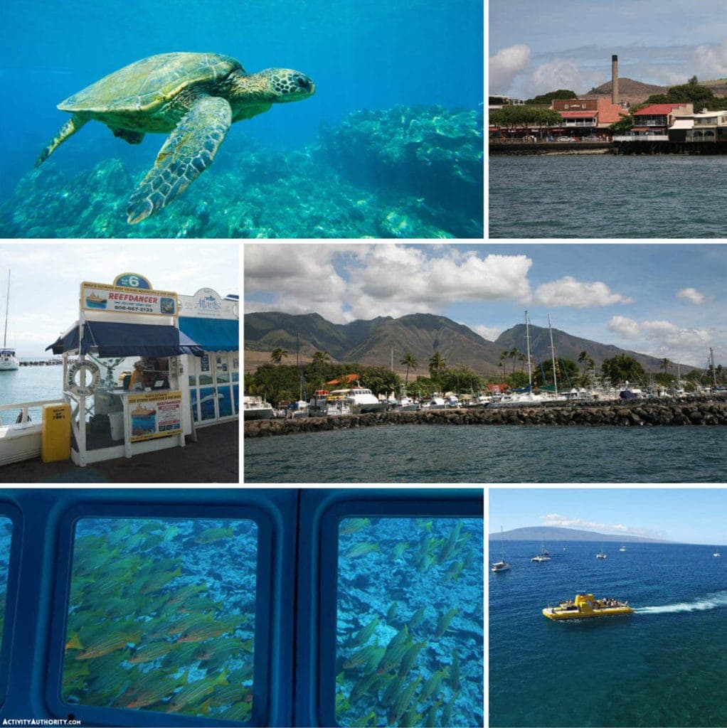 Maui Glass Bottom Boat Tour Maui Reef Dancer Ocean Adventures