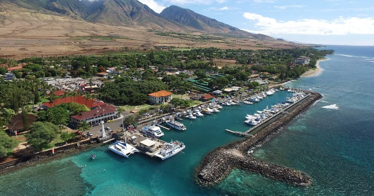 Reef Dancer - Maui’s Only Glass Bottom Boat Tour