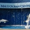 Maui Ocean Center Best Priced Tickets