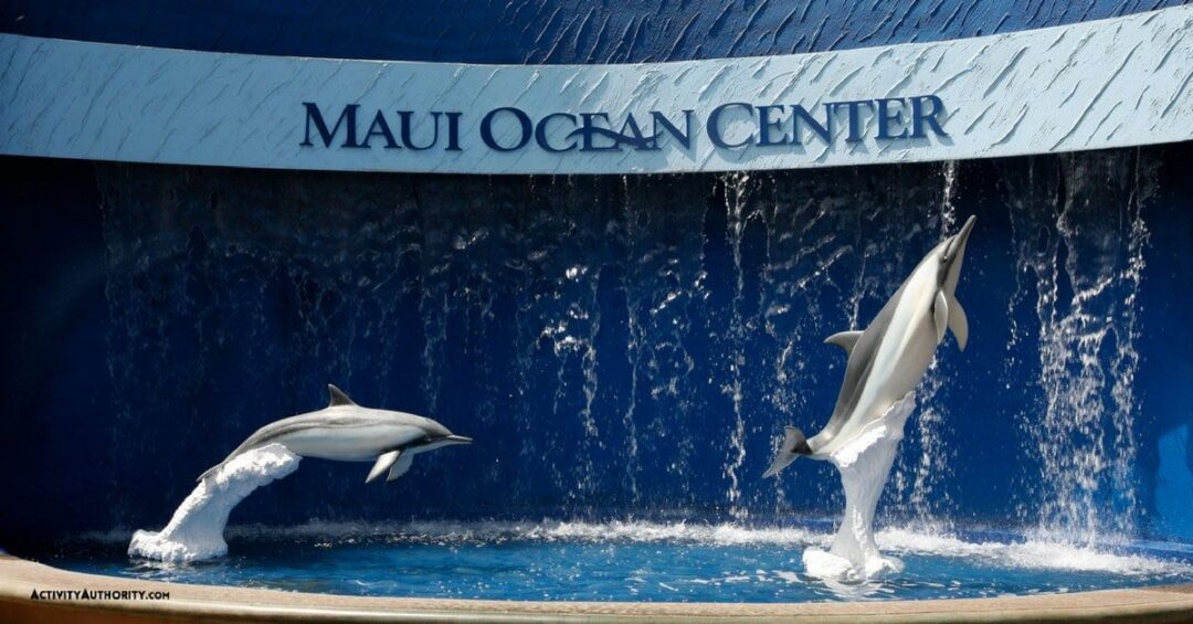 Maui Ocean Center Best Priced Tickets