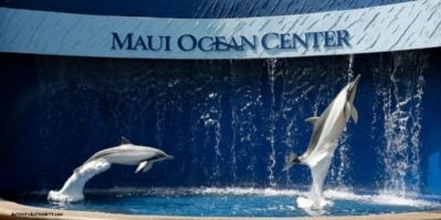 Maui Ocean Center Best Priced Tickets