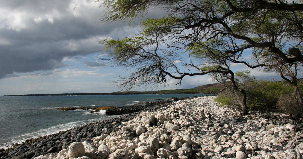 Top 10 Maui Hikes Hawaii