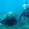 Maui scuba diving course