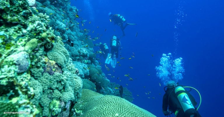 Maui Scuba Diving - Lessons, Guided Tours, Scooters, Private Shipwreck