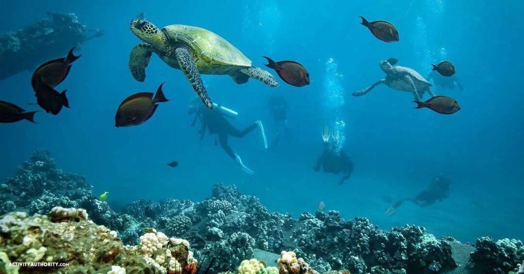 shore dive Maui Hawaii