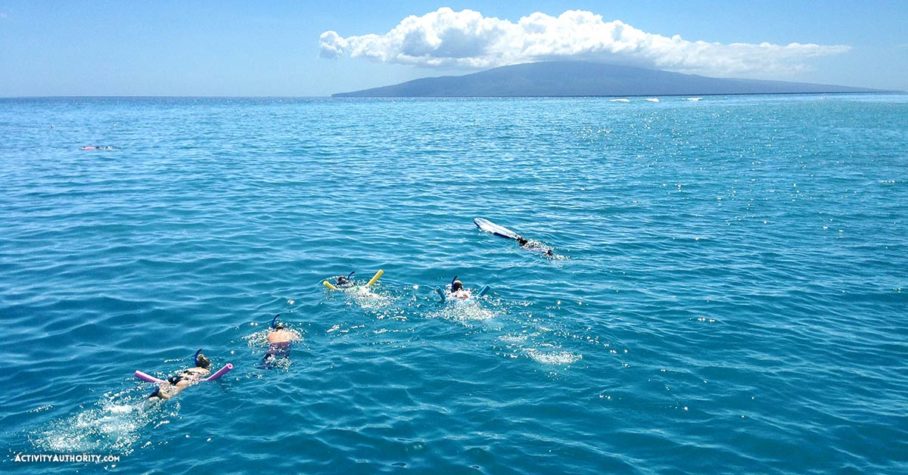 snorkeling off the coast of Maui