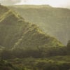 rainforest in Hana Maui