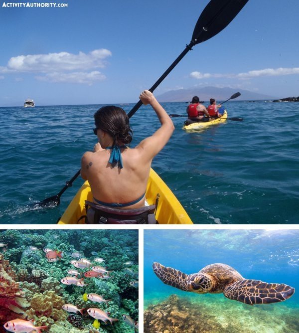 Maui Kayaking Kayak Tours in Makena, Olowalu and Whale Watching