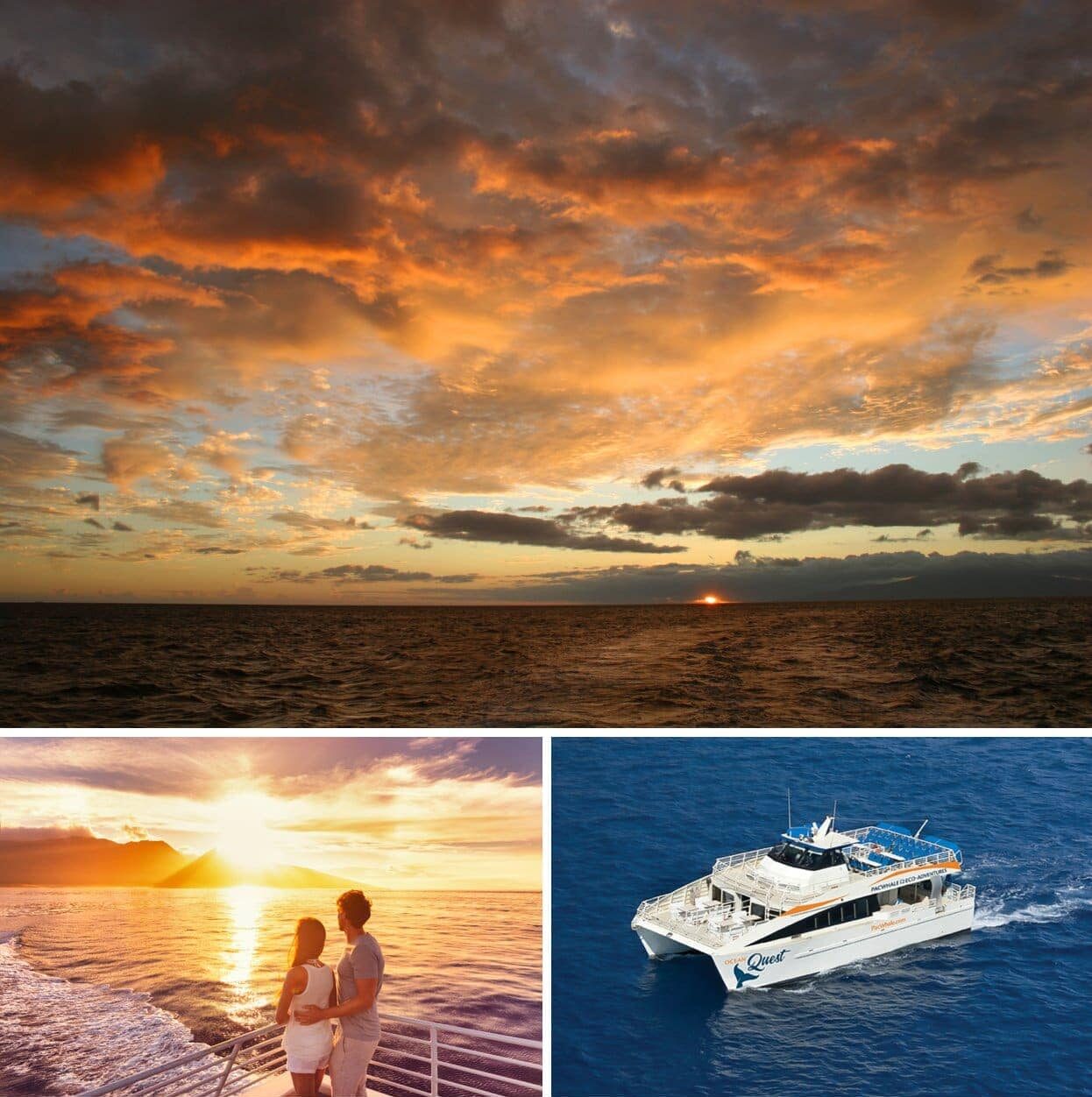 Maui sunset cruises