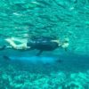 Advanced Molokini Snorkel Tour-underwater world