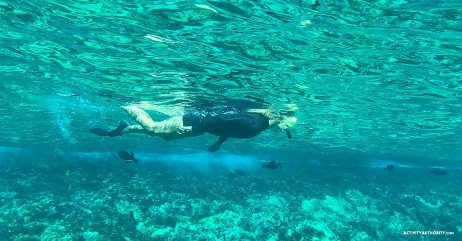Advanced Molokini Snorkel Tour-underwater world