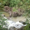 Hiking Maui Stream