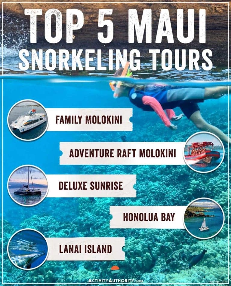 Top 5 Maui Snorkeling Tours Lahaina, Maalaea, Makena, Lanai