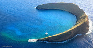 molokini snorkel
