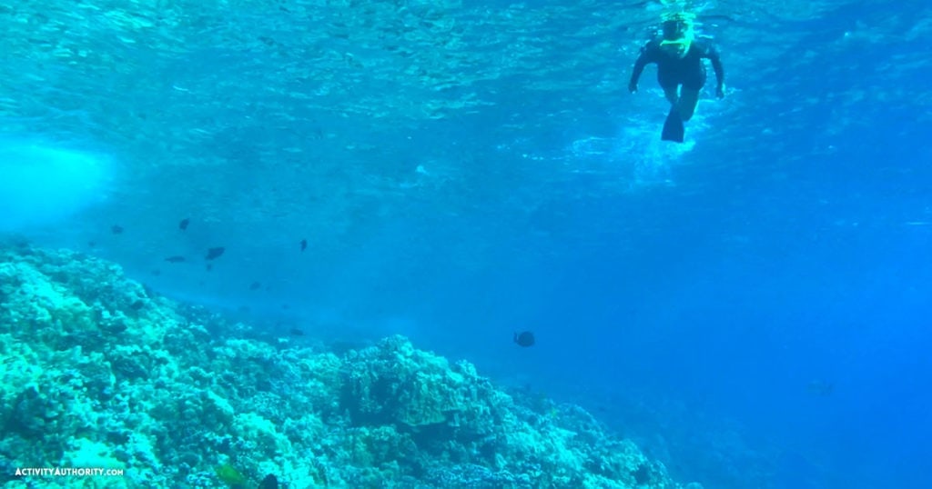 Sunrise Molokini Deluxe Snorkel Tour - Best Maui Snorkeling Tours