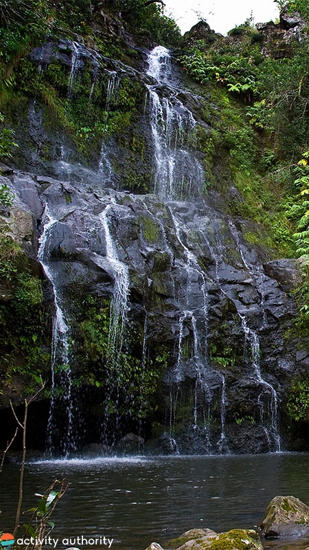 Kohala Tall Waterfall