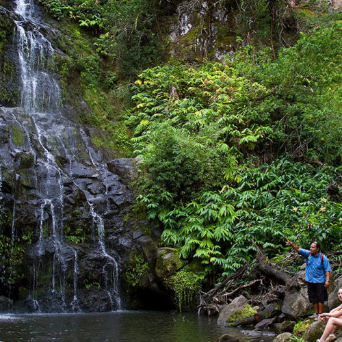 Best Big Island Hiking Tours Kohala Waterfall Tour