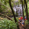 Kohala Waterfall Hike