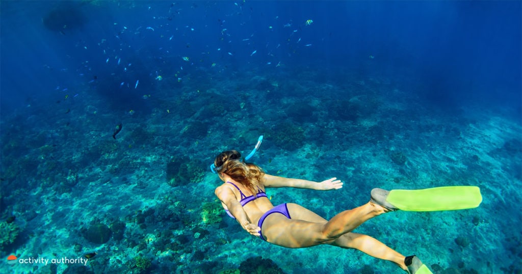 Big Island Snorkel Diver