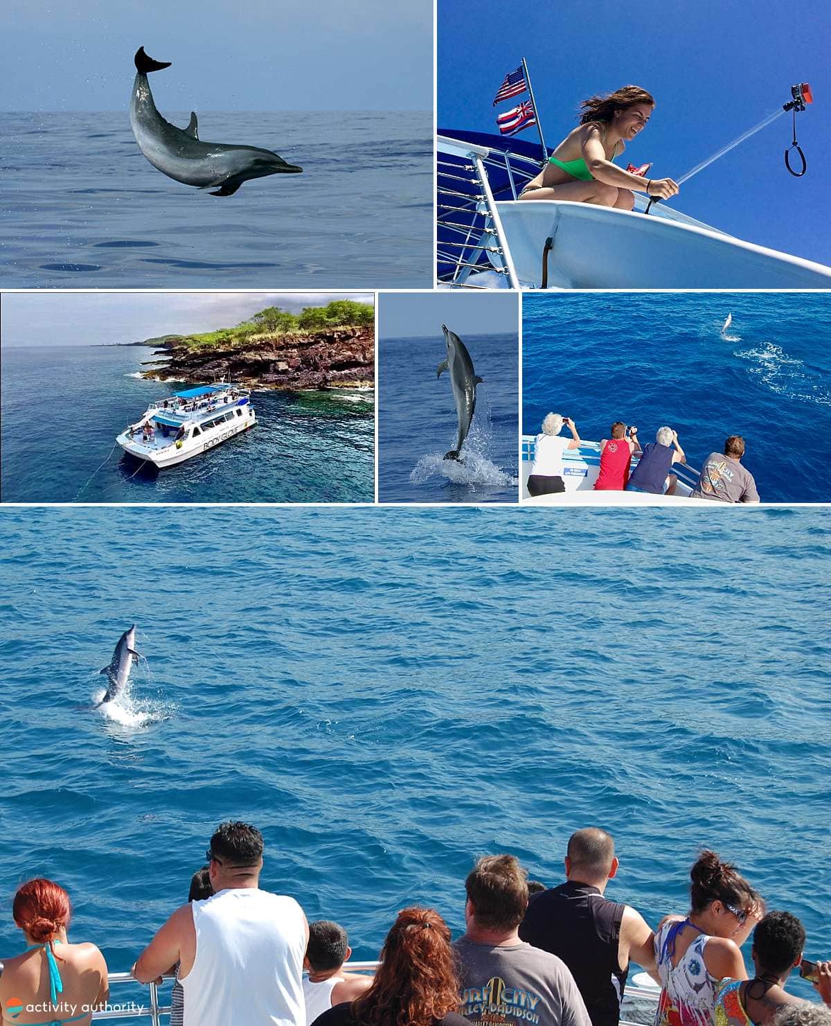 Kona Snorkel & Dolphin Collage