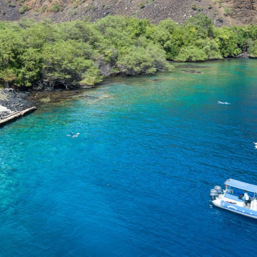 Kona Snorkel Boat Tours - Kealakekua and Captain Cook Tour