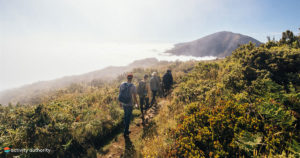 Things to do on Haleakala - Upcountry Maui, Hawaii