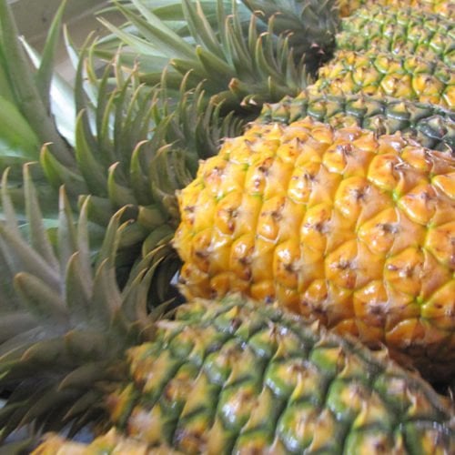 Maui Pineapple Tour The Best Pineapple Farm Tour