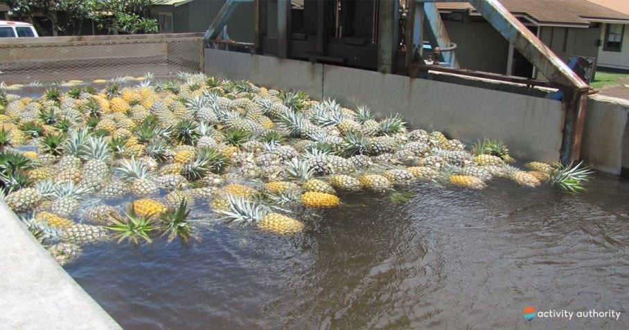 Maui Pineapple Wash