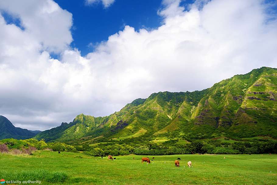 Top Oahu Activities Kualoa Ranch