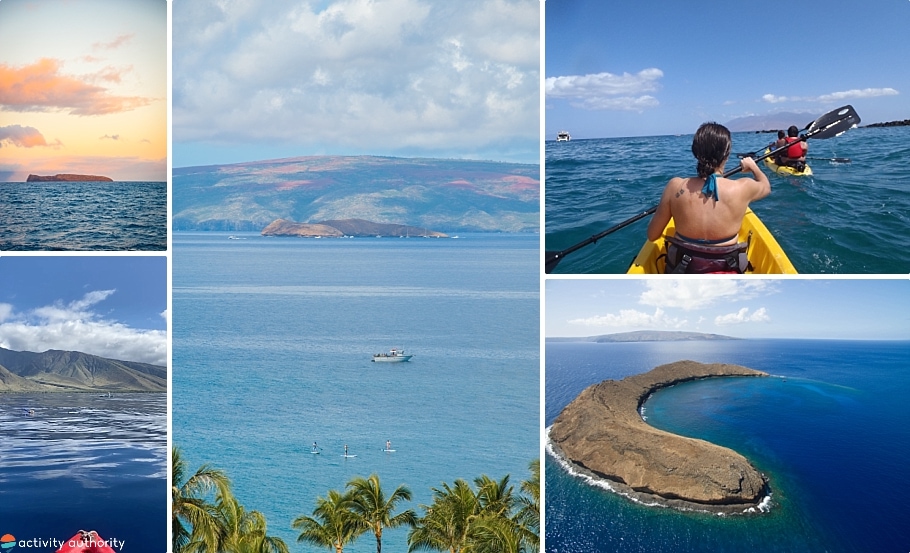 Maui Kayak Tours Molokini Challenge