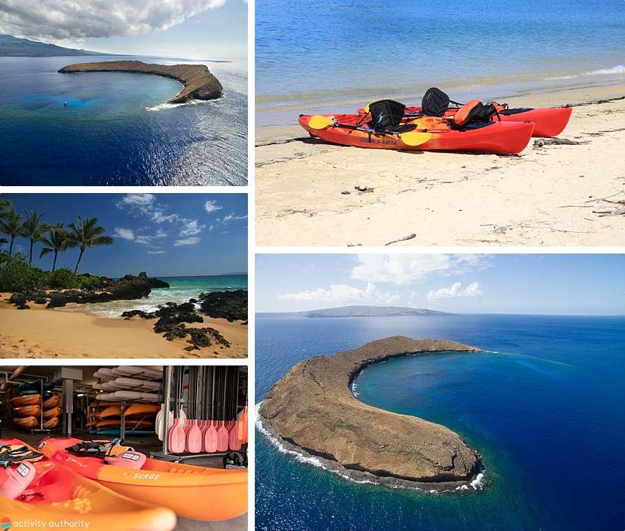 Top 5 Maui Kayak Tours Molokini