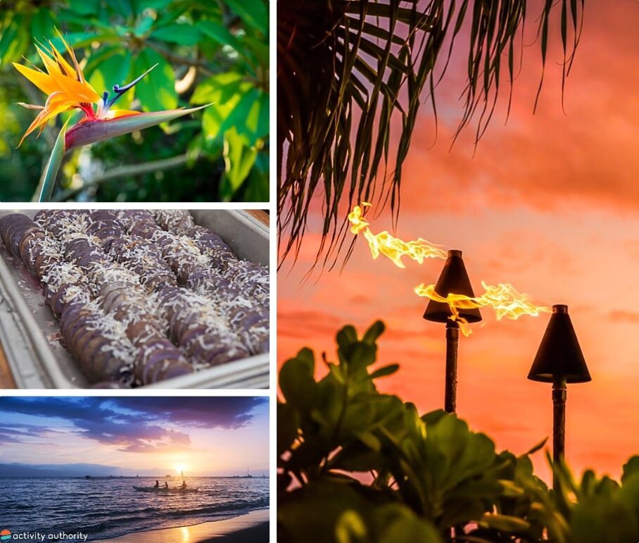 Top 5 Oahu Luaus Best Luaus to See On Oahu, Hawaii