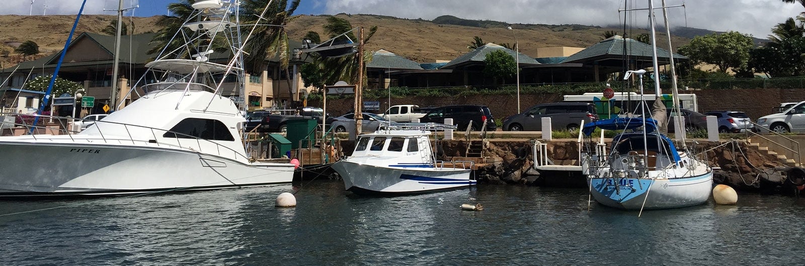Top 5 Maui Fishing Tours