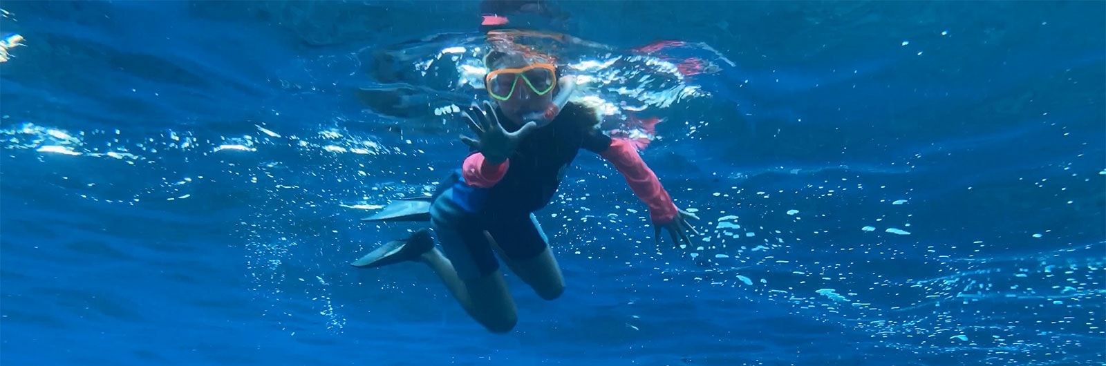 Top 5 Oahu Snorkel Spots