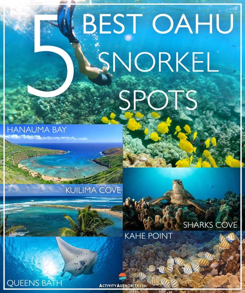 Top 5 Oahu Snorkel Spots Best Places To Snorkel On Oahu