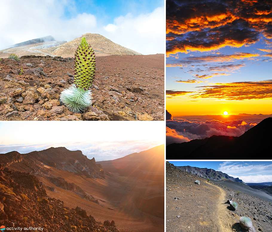 Top 5 Maui Hiking Tours Crater Hike