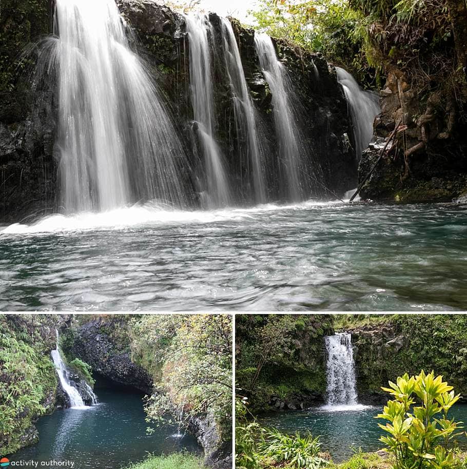 Top 5 Maui Hiking Tours East Maui