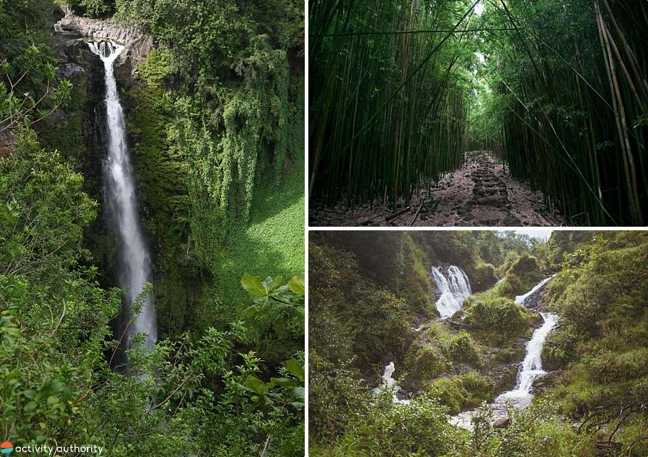 Top 5 Maui Hiking Tours Hana