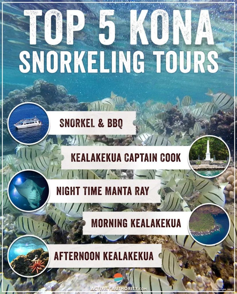 Top 5 Kona Snorkel Tours Big Island, Hawaii Snorkel Tours
