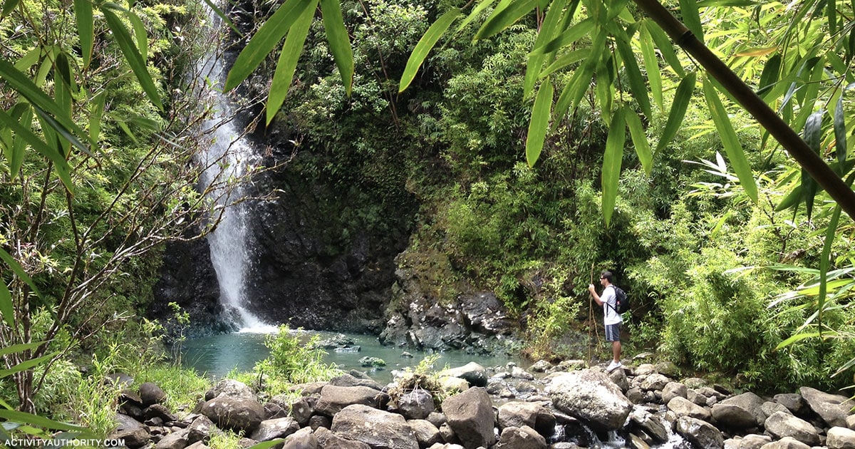 Top 5 Maui Hiking Tours