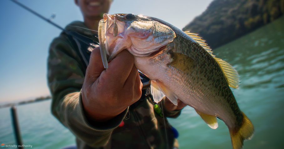 Kauai Fishing Caught Bass