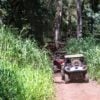 Kauai ATV Tour Trail