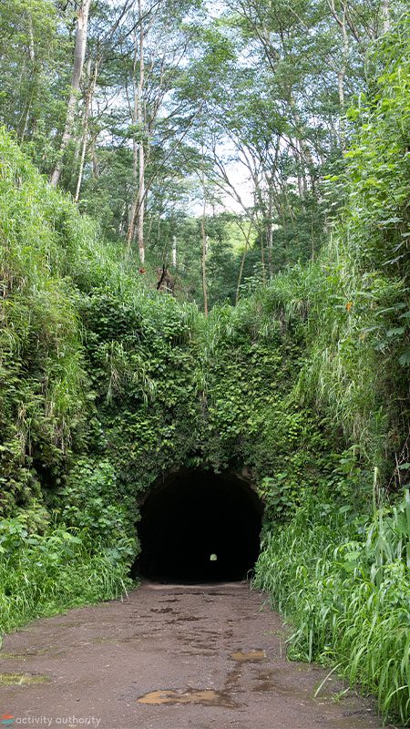 Kauai ATV Tour Tunnel