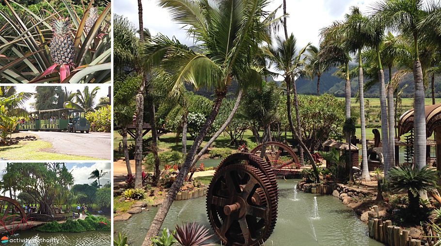 Maui Activities For Seniors Tropical Plantation
